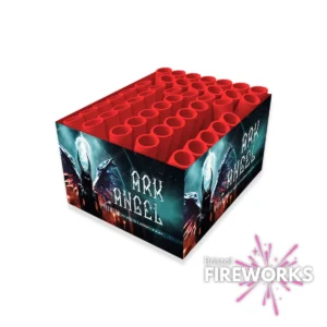 The "Ark Angel | 44 Shot Single Light Barrage" box shows a winged figure on a dark background, with red tubes on top and the "Bristol Fireworks" logo in the corner.